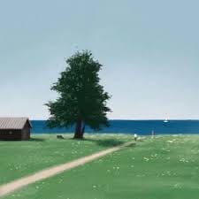 Rohail Nazir avatar